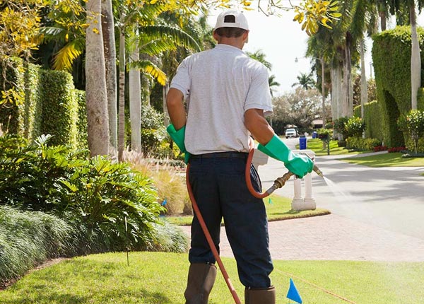 About Cantrall IL Pest Control